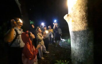 An immersive outdoor learning adventure at Cat Tien national park
